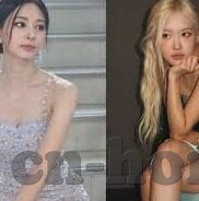 麻豆变态粉色视频-以娱乐之名，警醒网络的暗流——麻豆APP背后的灰色地带